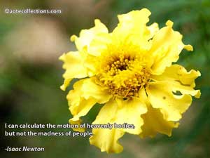 Isaac Newton Quotes 2